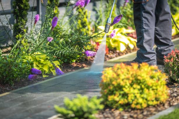Best Gas Station Cleaning  in Ione, CA